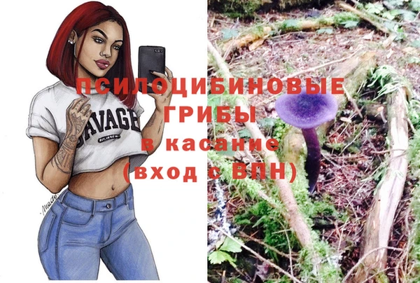 молекула духа Абинск
