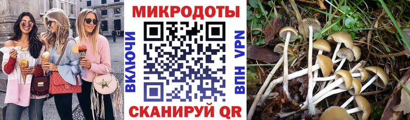 hydra сайт  Красновишерск  Псилоцибиновые грибы Psilocybine cubensis 