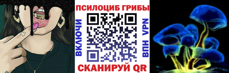 Псилоцибиновые грибы прущие грибы Красновишерск